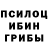 Галлюциногенные грибы прущие грибы Sergejus