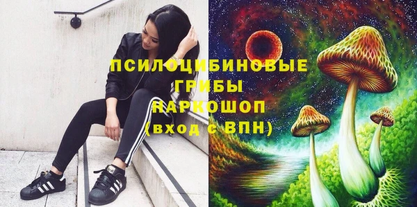 прущие крисы Богданович