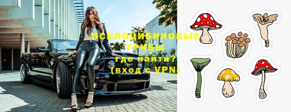 стафф Богородицк